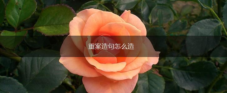 重案造句怎么造,第1张 重案造句怎么造,第1张