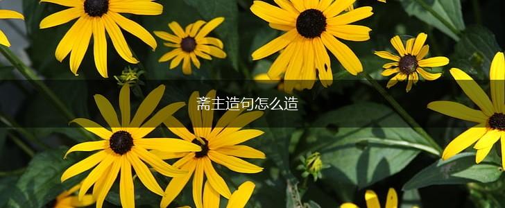 斋主造句怎么造,第1张 斋主造句怎么造,第1张