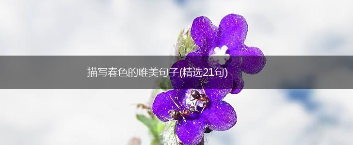 描写春色的唯美句子(精选21句),第1张