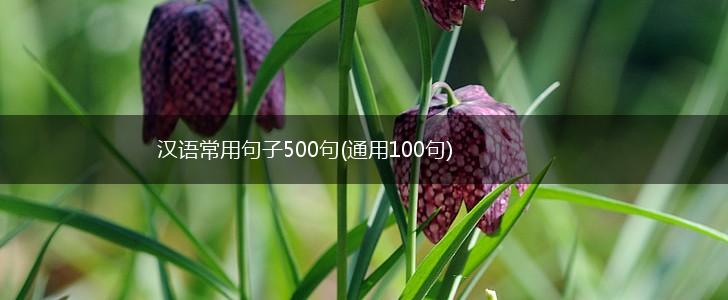 汉语常用句子500句(通用100句),第1张