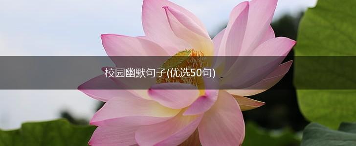 校园幽默句子(优选50句),第1张