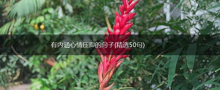 有内涵心情压抑的句子(精选50句),第1张