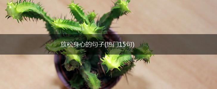 放松身心的句子(热门15句),第1张