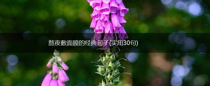 熬夜敷面膜的经典句子(实用30句),第1张