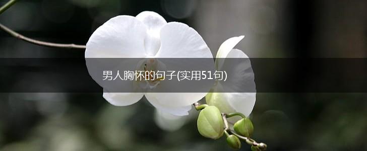 男人胸怀的句子(实用51句),第1张