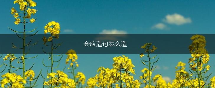 会应造句怎么造,第1张