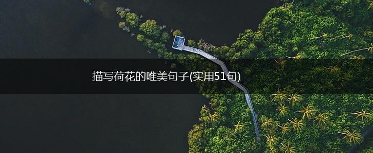 描写荷花的唯美句子(实用51句),第1张