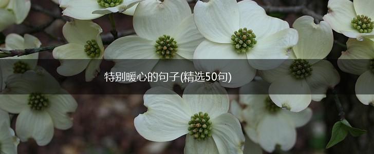 特别暖心的句子(精选50句),第1张