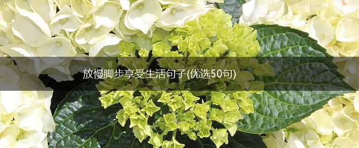 放慢脚步享受生活句子(优选50句),第1张