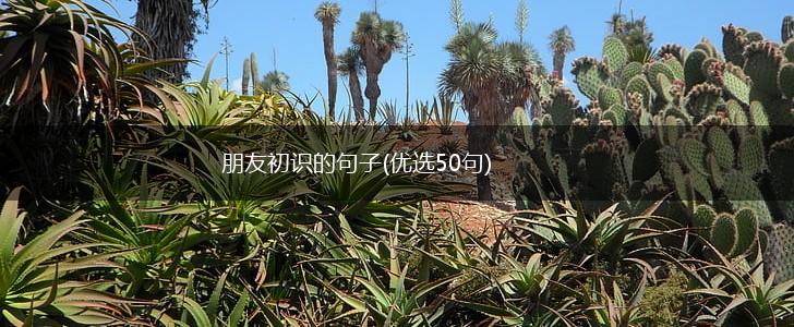 朋友初识的句子(优选50句),第1张