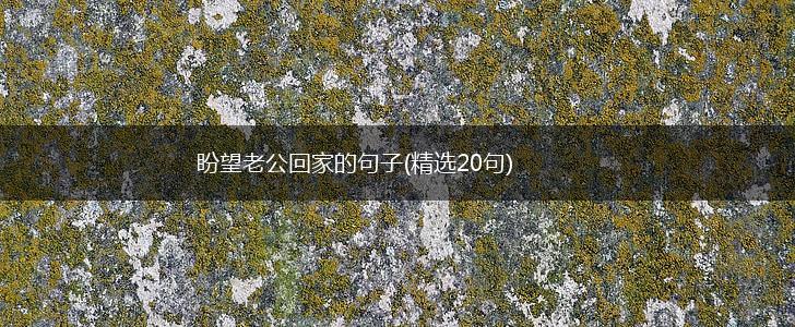 盼望老公回家的句子(精选20句),第1张