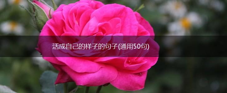活成自己的样子的句子(通用50句),第1张