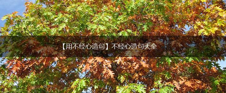 【用不经心造句】不经心造句大全,第1张