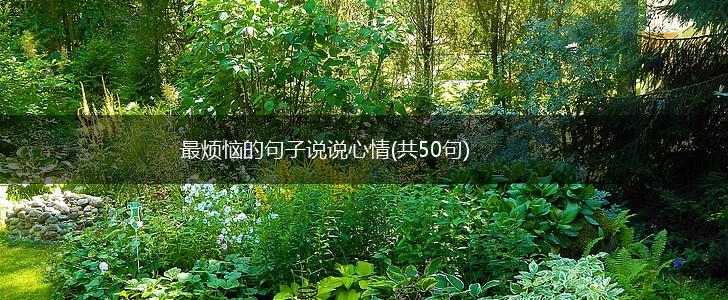 最烦恼的句子说说心情(共50句),第1张