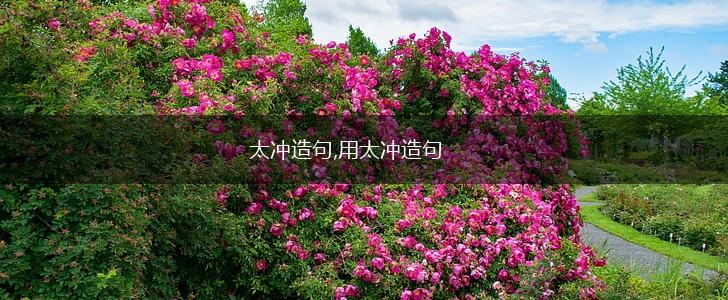 太冲造句,用太冲造句,第1张
