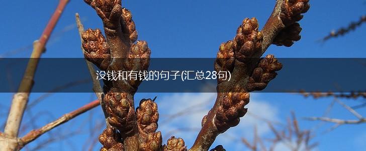 没钱和有钱的句子(汇总28句),第1张