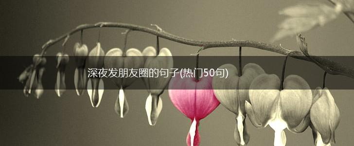 深夜发朋友圈的句子(热门50句),第1张