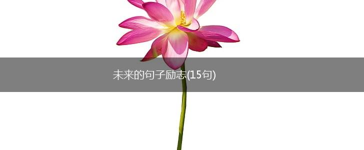 未来的句子励志(15句),第1张