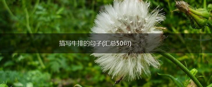 描写牛排的句子(汇总50句),第1张