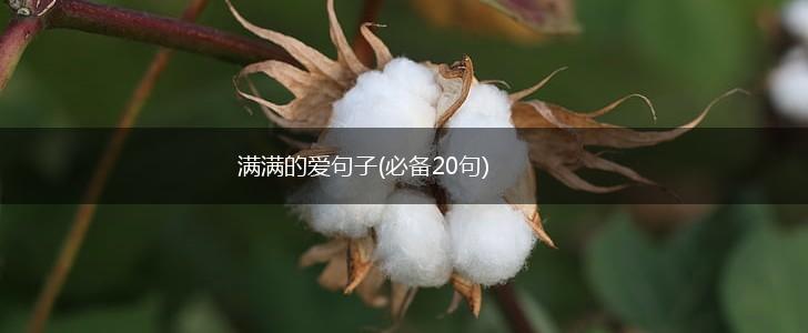 满满的爱句子(必备20句),第1张