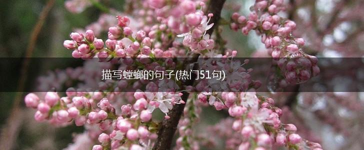 描写螳螂的句子(热门51句),第1张