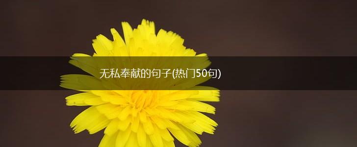 无私奉献的句子(热门50句),第1张
