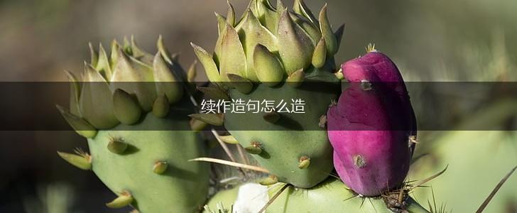 续作造句怎么造,第1张