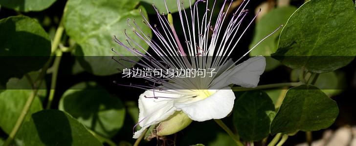 身边造句,身边的句子,第1张 身边造句,身边的句子,第1张