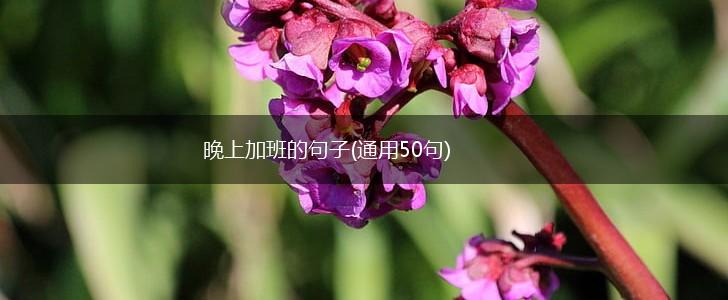 晚上加班的句子(通用50句),第1张