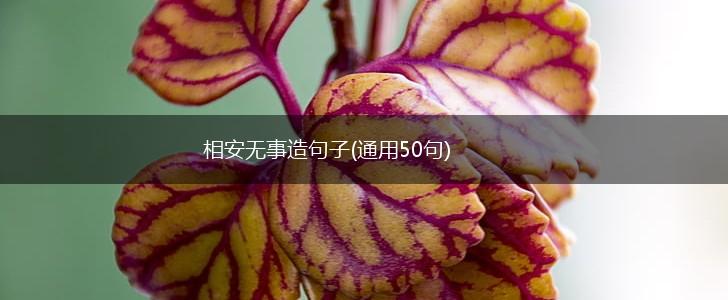 相安无事造句子(通用50句),第1张