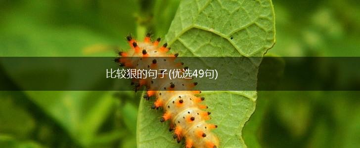 比较狠的句子(优选49句),第1张