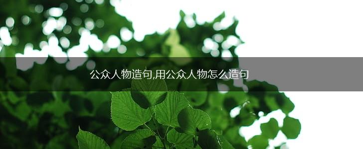 公众人物造句,用公众人物怎么造句,第1张