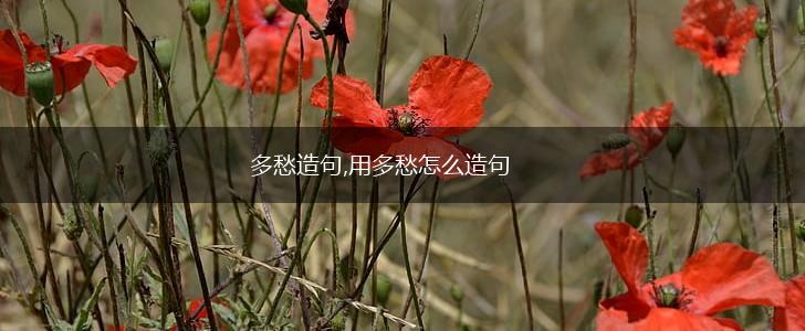 多愁造句,用多愁怎么造句,第1张