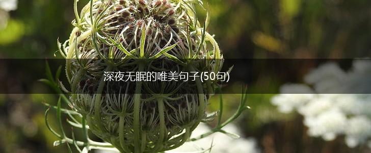 深夜无眠的唯美句子(50句),第1张