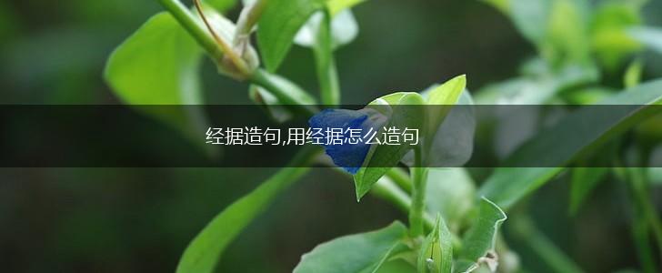 经据造句,用经据怎么造句,第1张