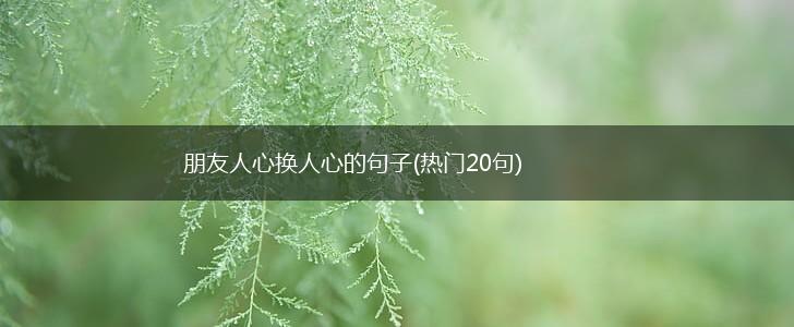 朋友人心换人心的句子(热门20句),第1张