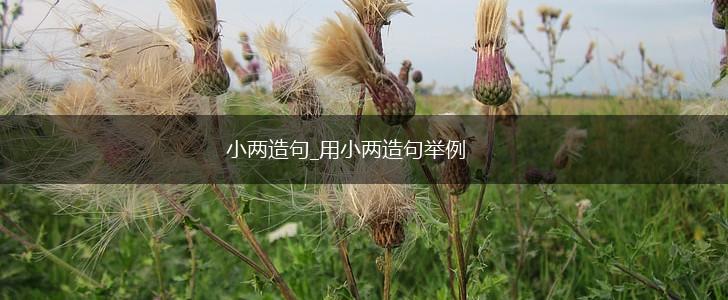 小两造句_用小两造句举例,第1张
