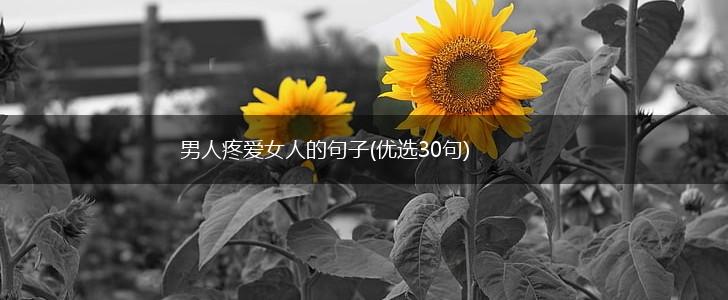 男人疼爱女人的句子(优选30句),第1张