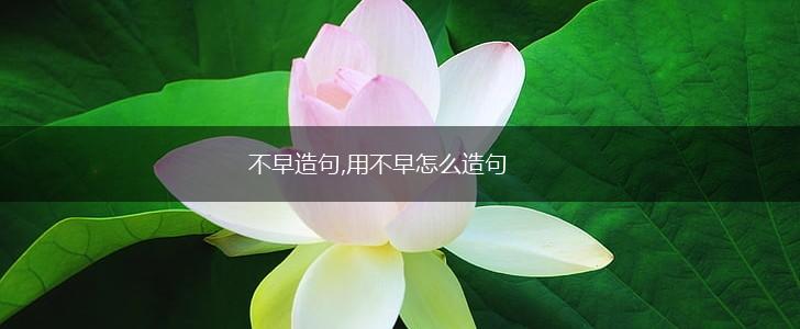 不早造句,用不早怎么造句,第1张