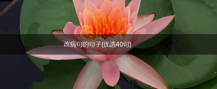 改病句的句子(优选40句),第1张
