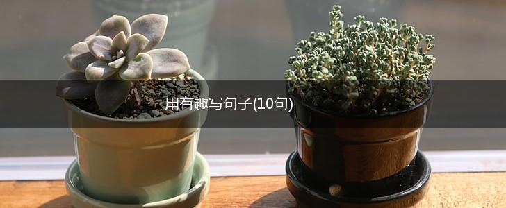 用有趣写句子(10句),第1张