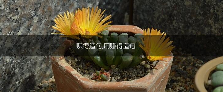 赚得造句,用赚得造句,第1张