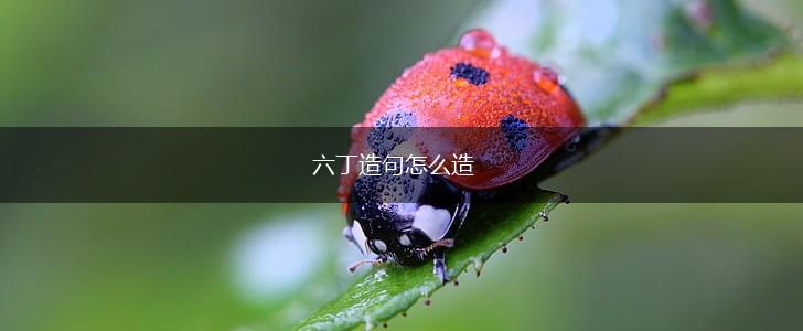 六丁造句怎么造,第1张 六丁造句怎么造,第1张
