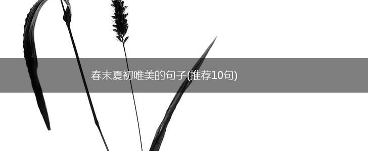 春末夏初唯美的句子(推荐10句),第1张