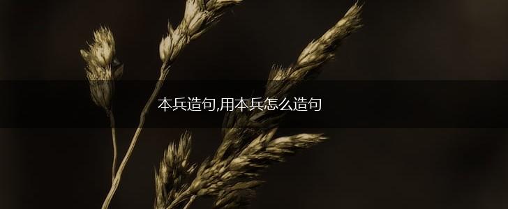 本兵造句,用本兵怎么造句,第1张 本兵造句,用本兵怎么造句,第1张