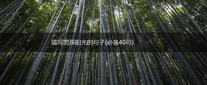 描写男孩阳光的句子(必备40句),第1张