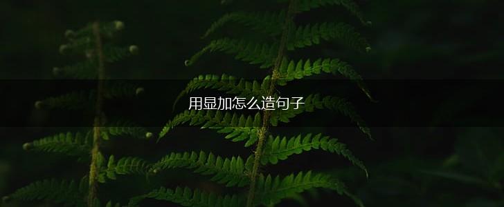 用显加怎么造句子,第1张 用显加怎么造句子,第1张