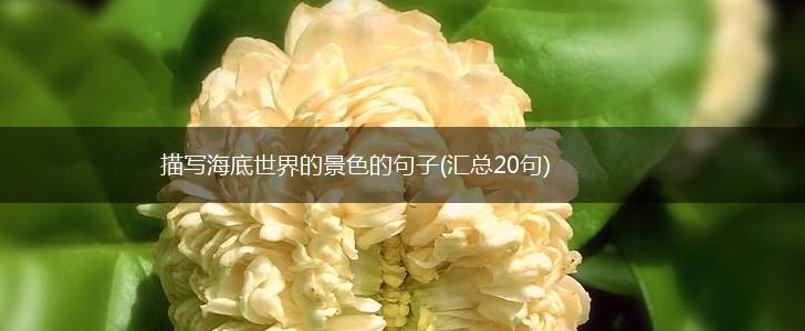描写海底世界的景色的句子(汇总20句),第1张