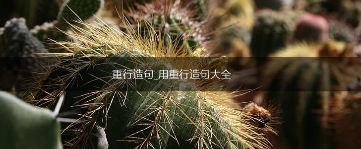 重行造句_用重行造句大全,第1张 重行造句_用重行造句大全,第1张