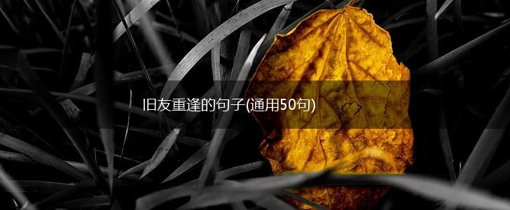 旧友重逢的句子(通用50句),第1张